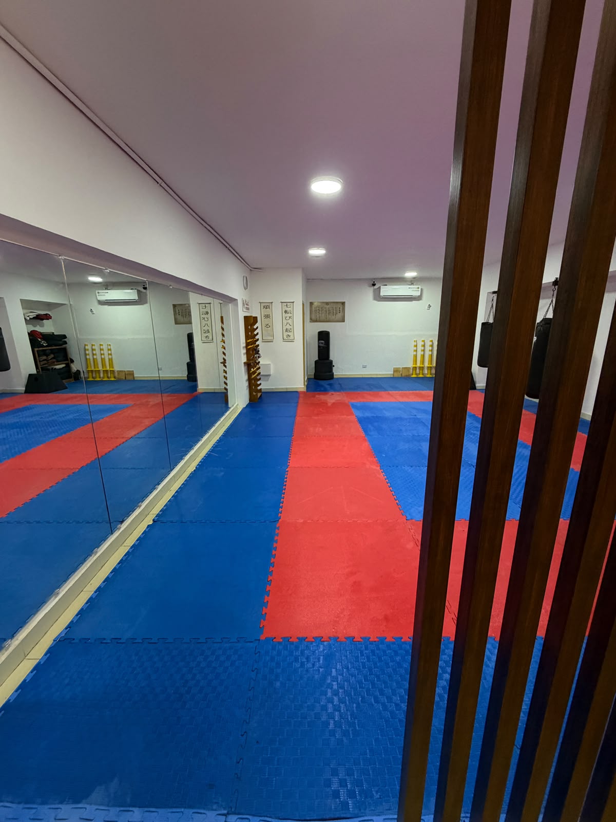 Vista amplia del área de entrenamiento del Kaizen Dojo con tatami rojo y azul