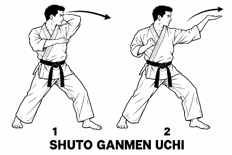 Shuto Ganmen Uchi